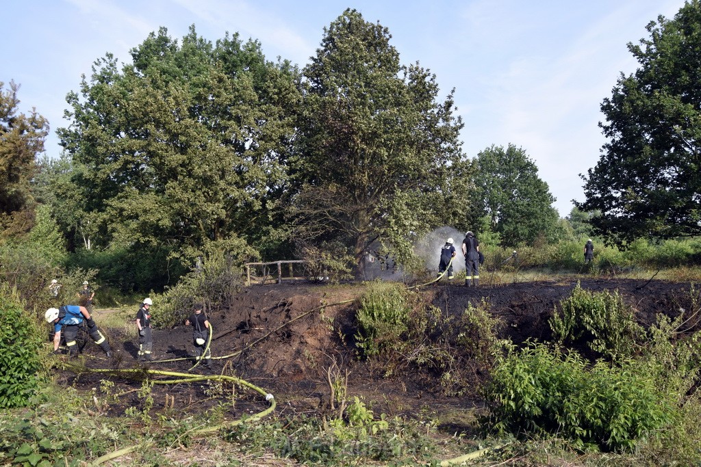 Waldbrand Koeln Hoehenhaus Hoehenfelder Mauspfad P118.JPG - Miklos Laubert